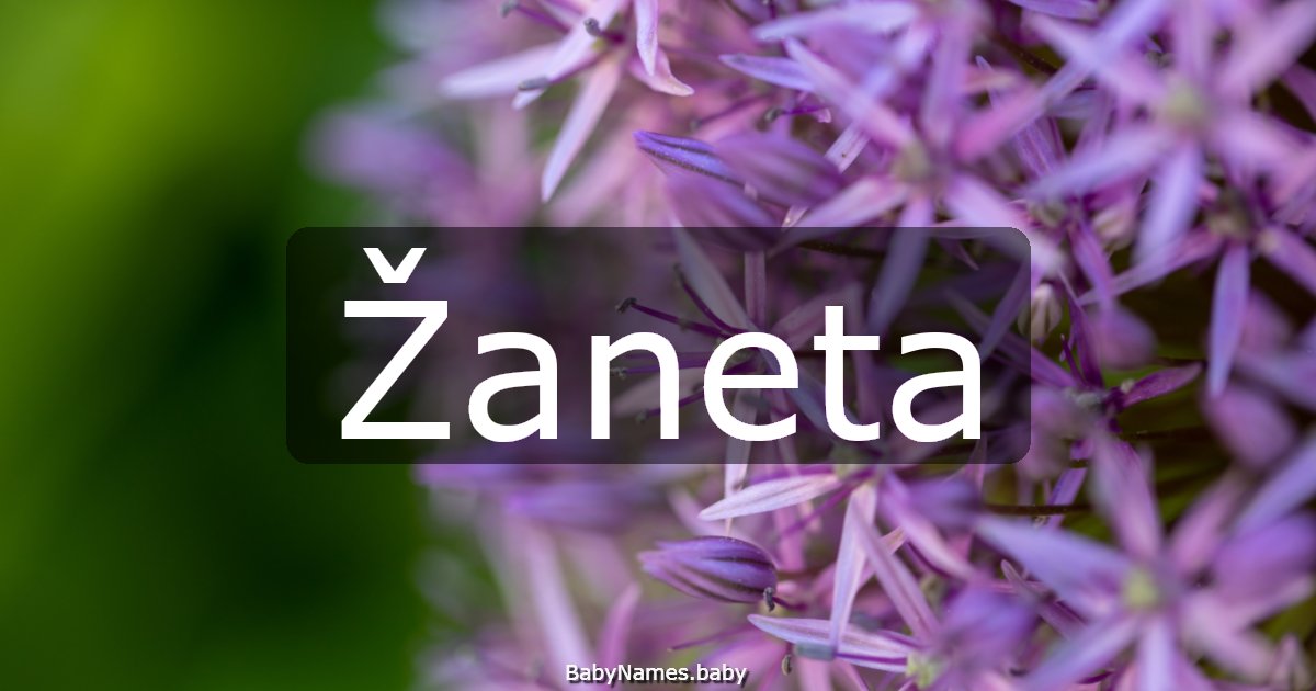 Žaneta