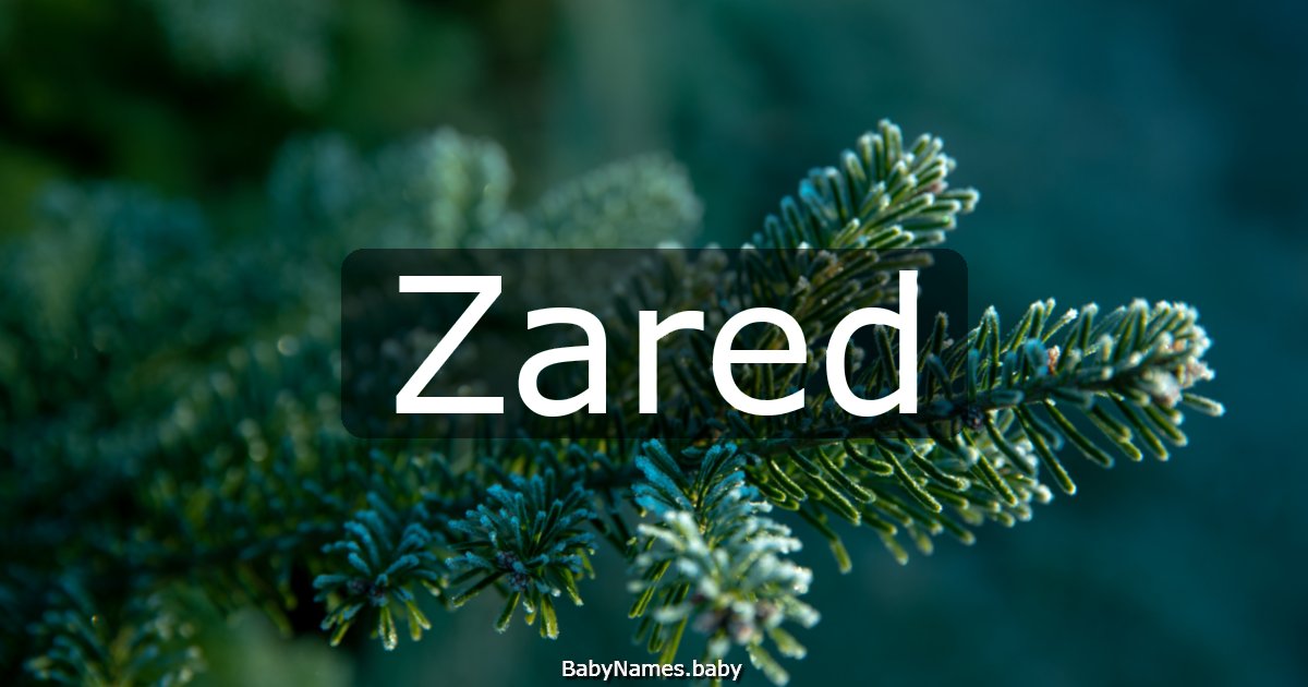 Zared