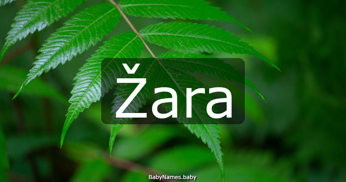 Žara