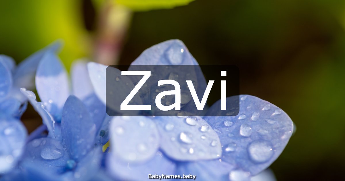 Zavi