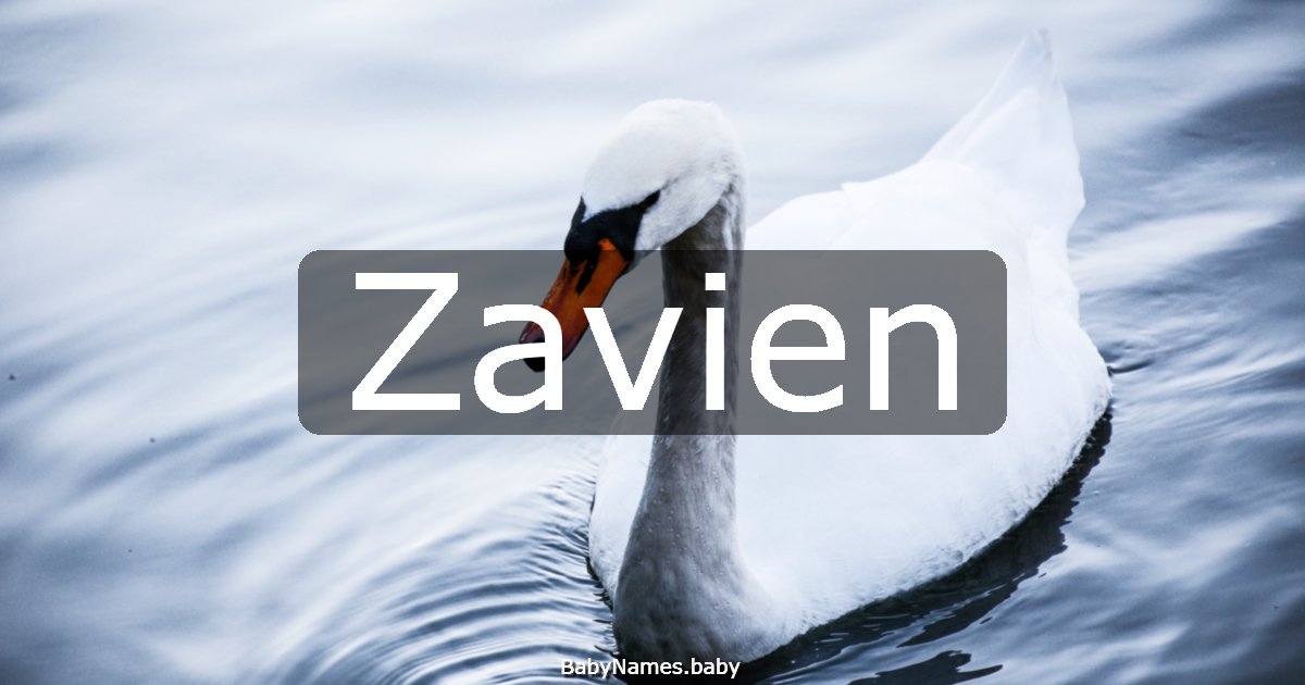 Zavien