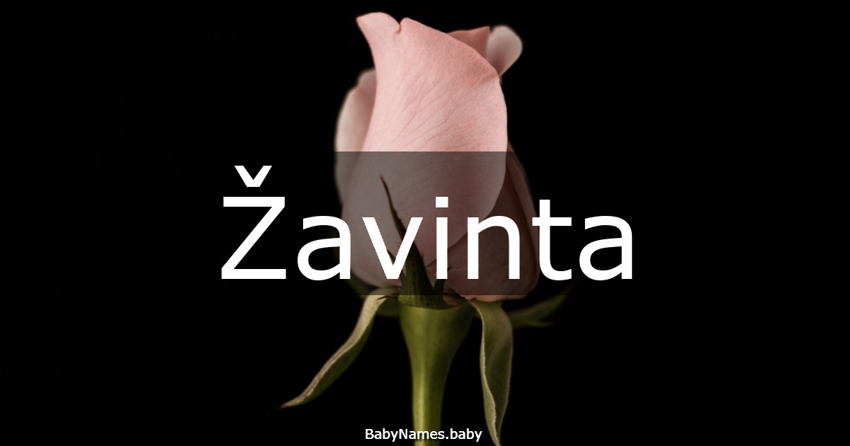 Žavinta