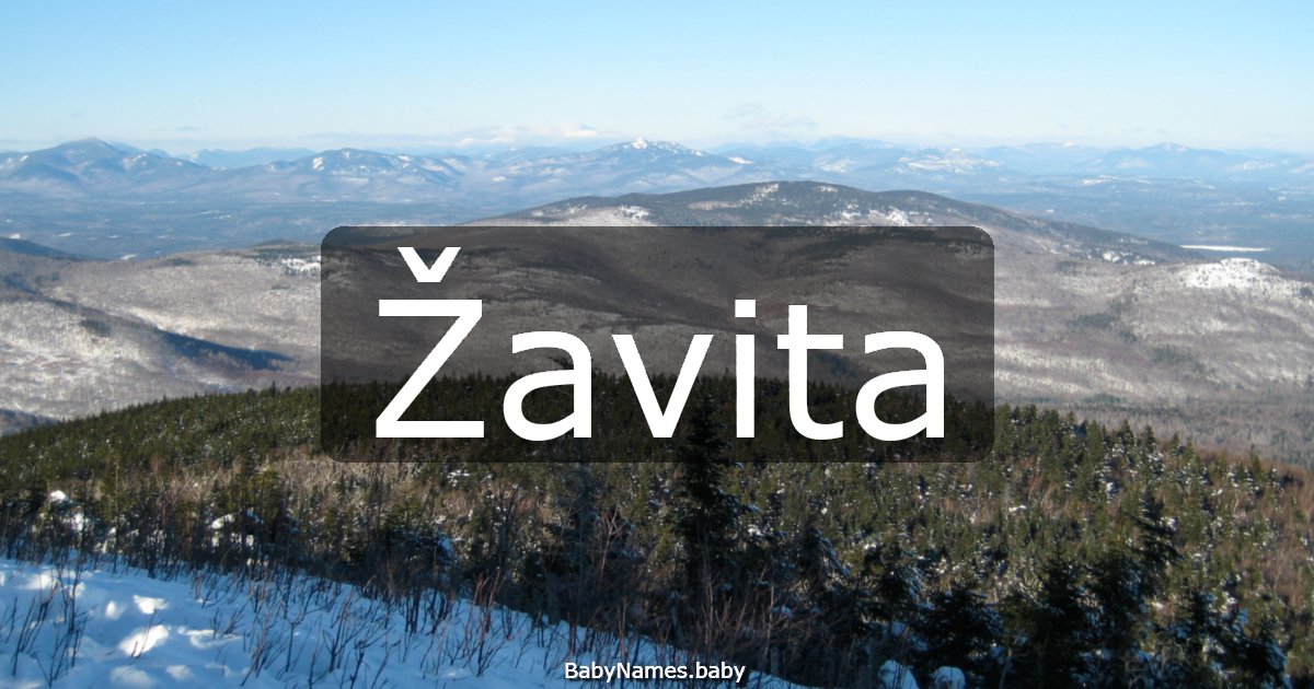 Žavita