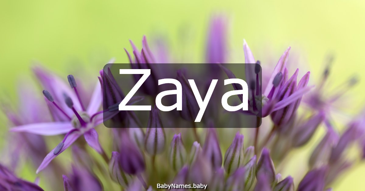 Zaya