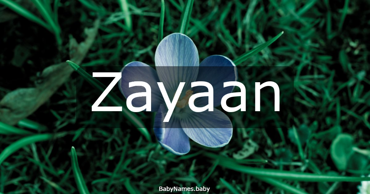 Zayaan