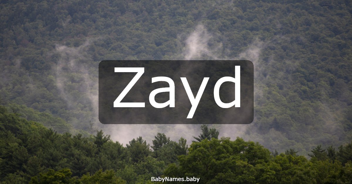 Zayd