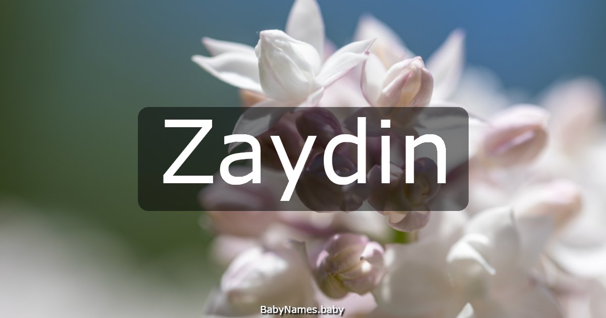 Zaydin