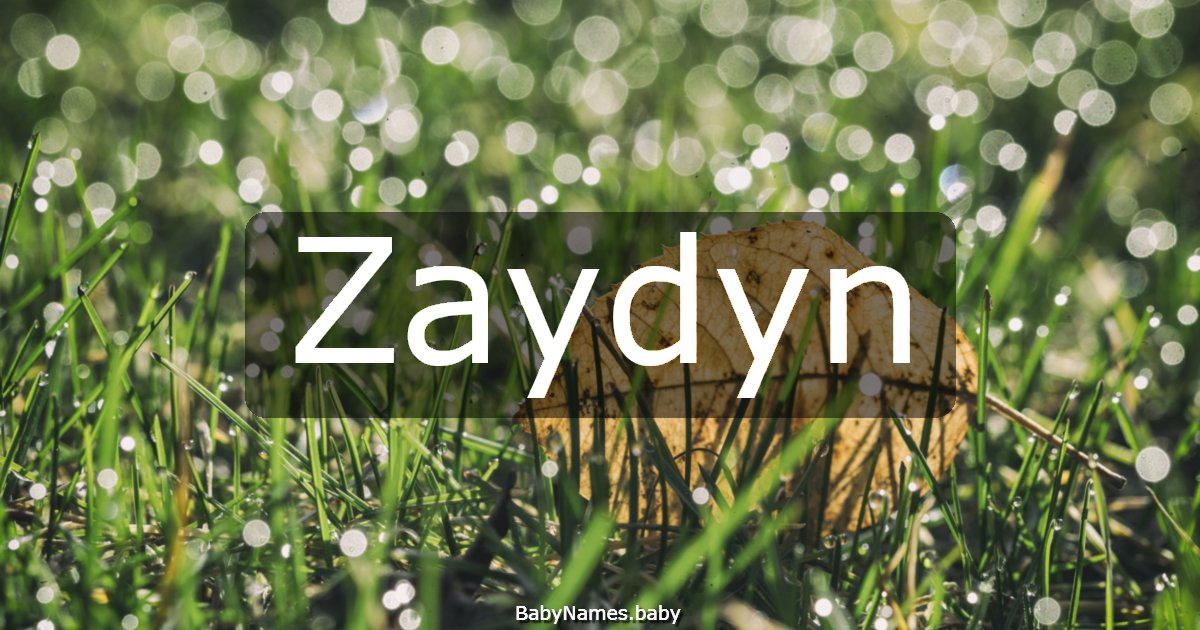 Zaydyn