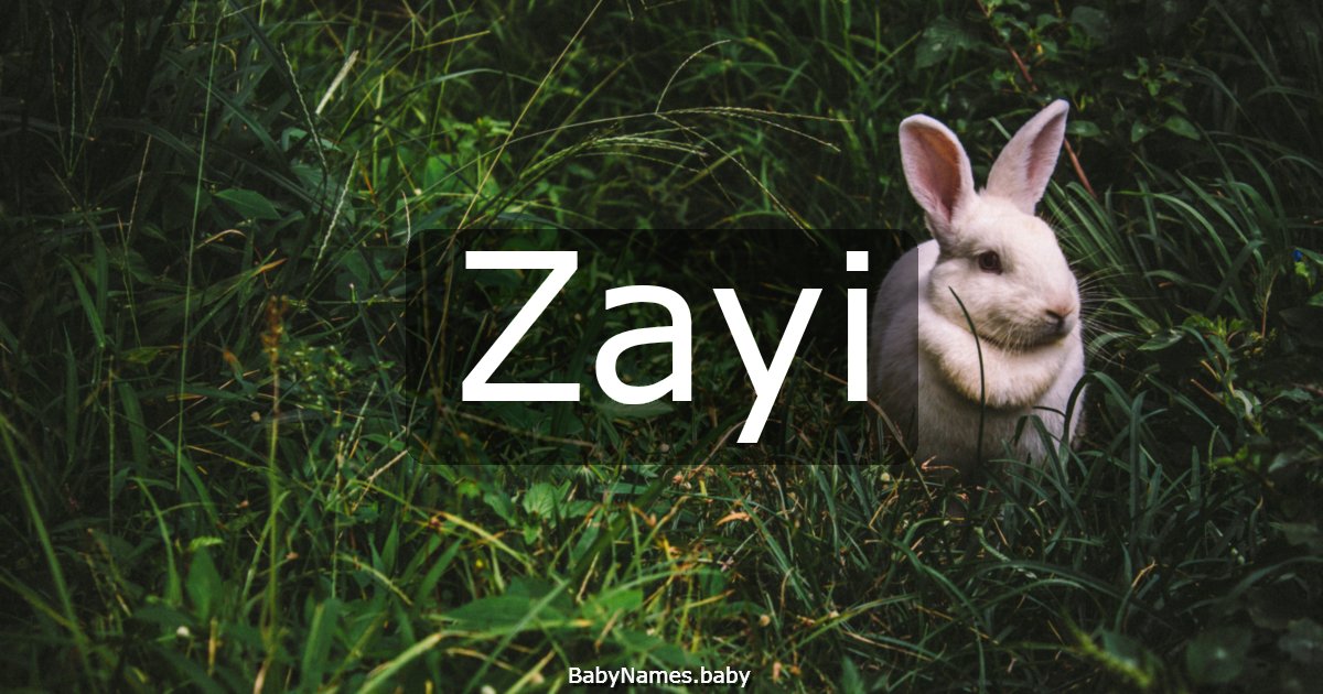 Zayi