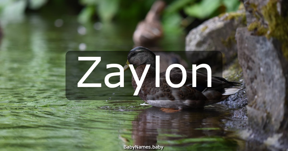 Zaylon