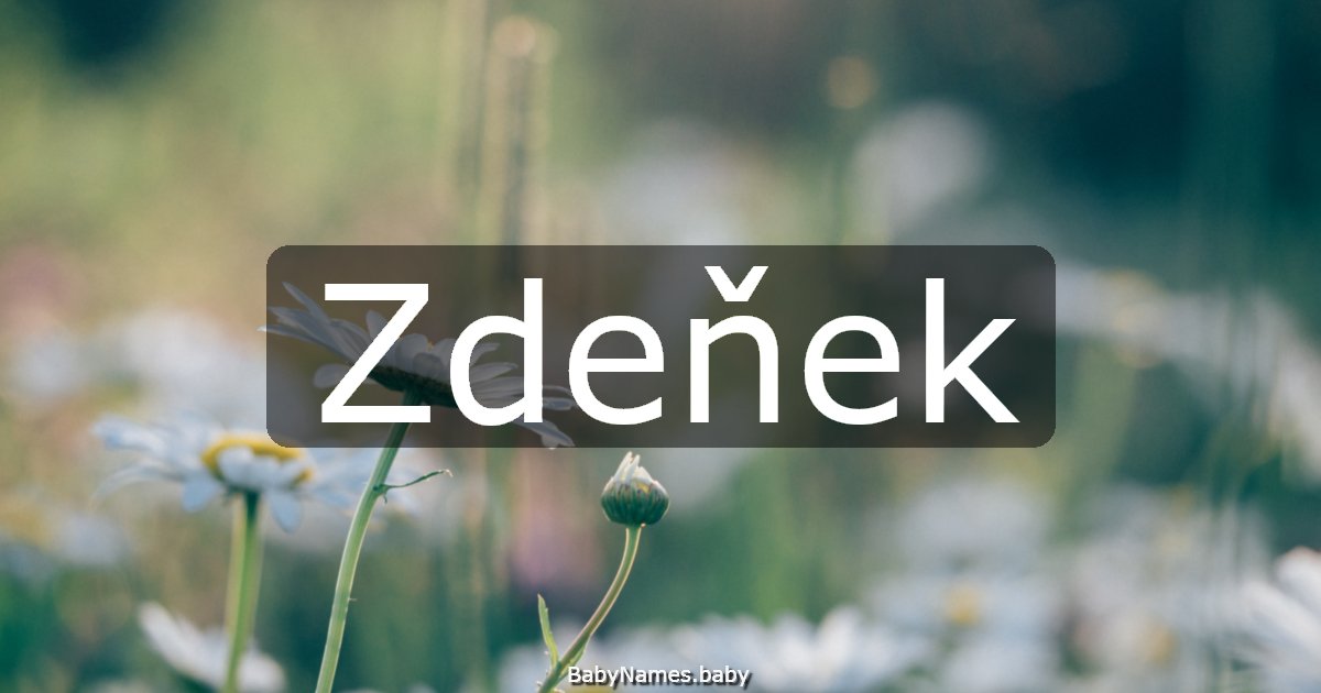 Zdeňek