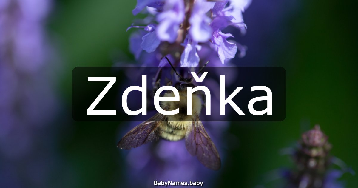 Zdeňka