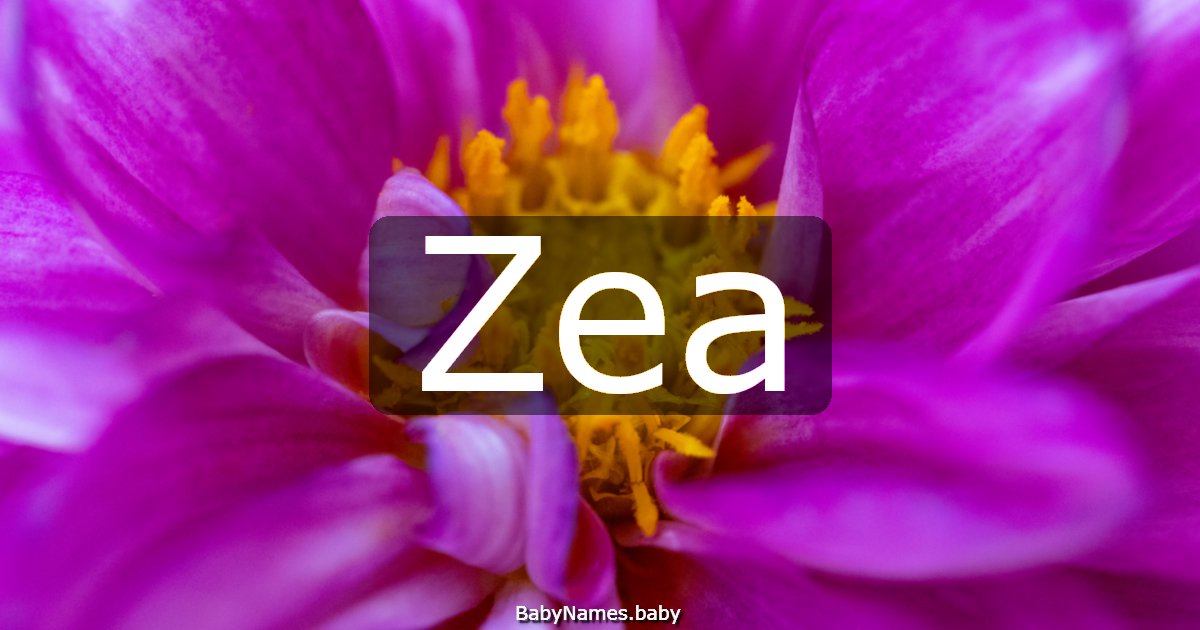 Zea