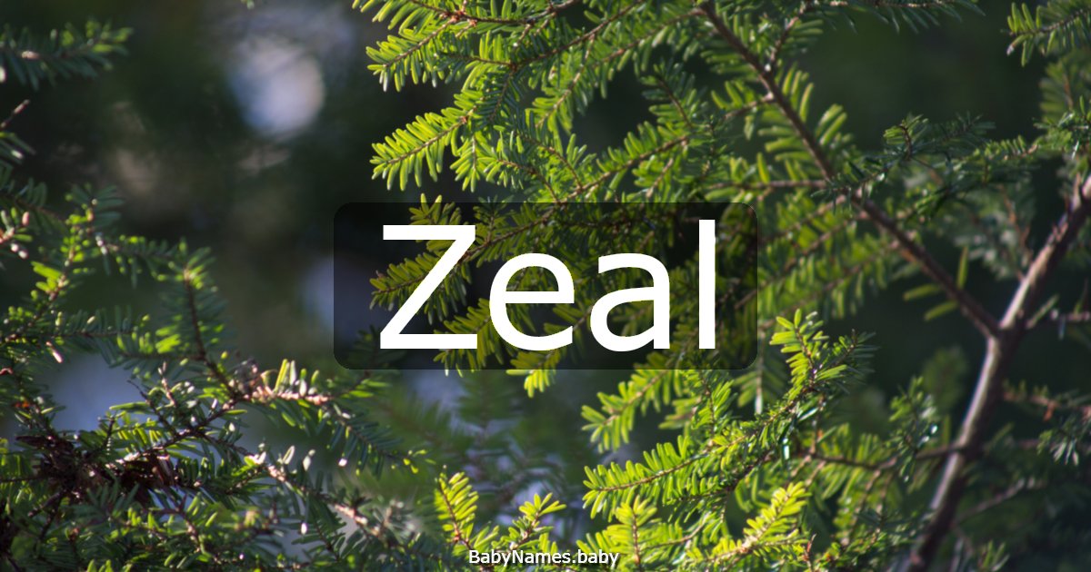 Zeal