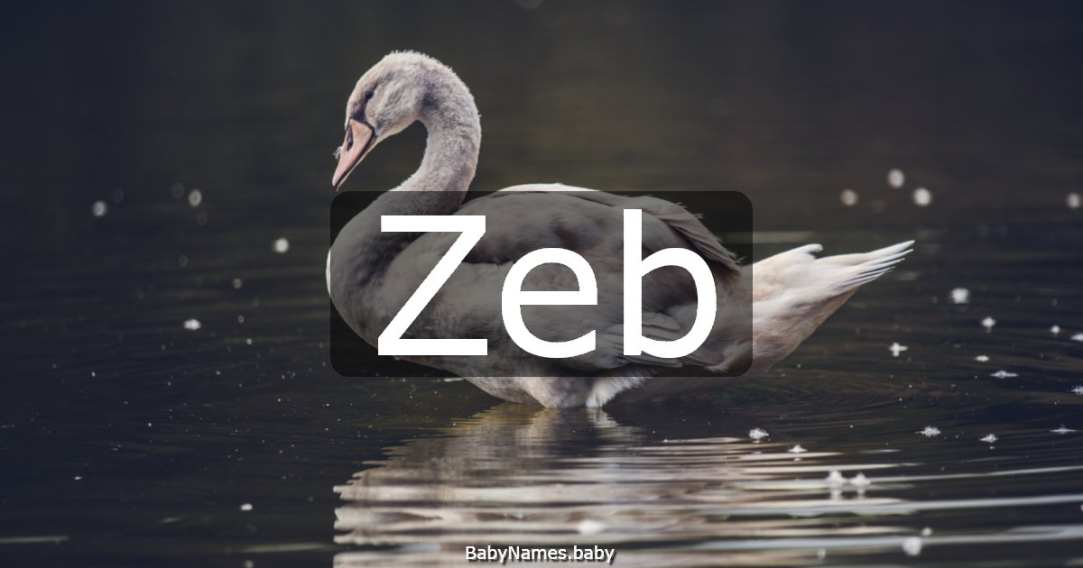 Zeb