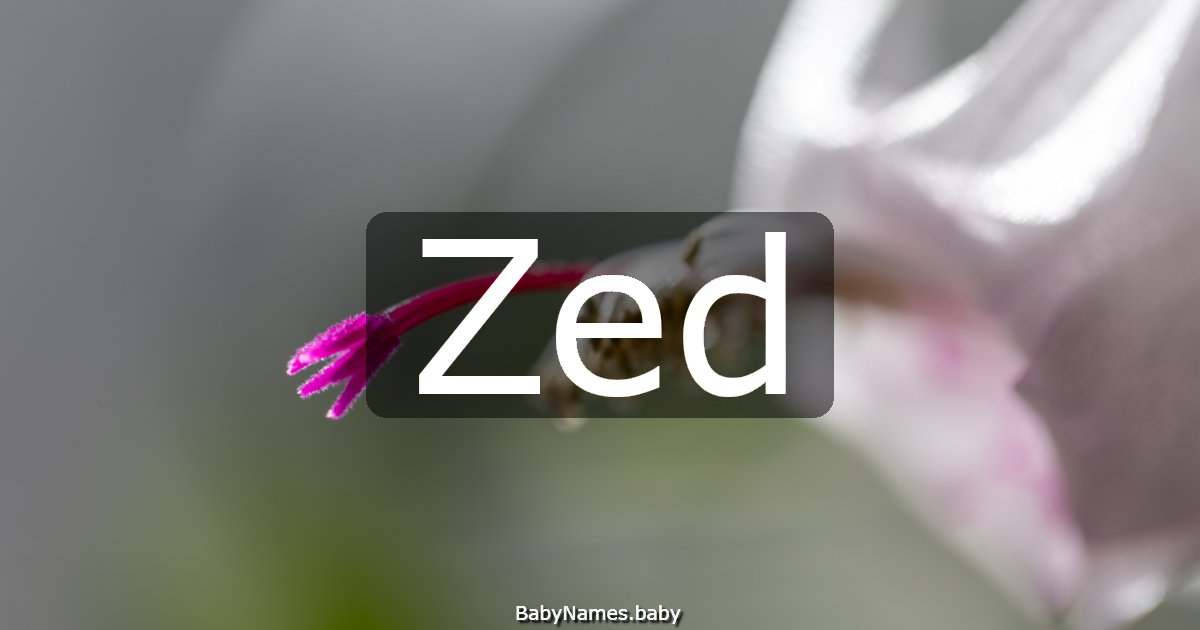 Zed