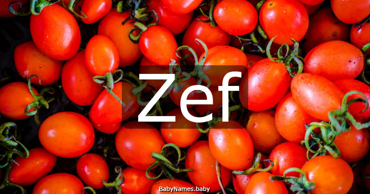 Zef