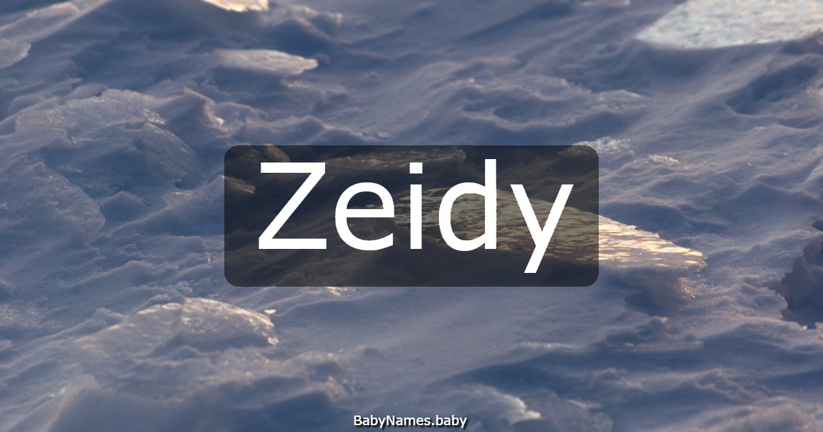 Zeidy