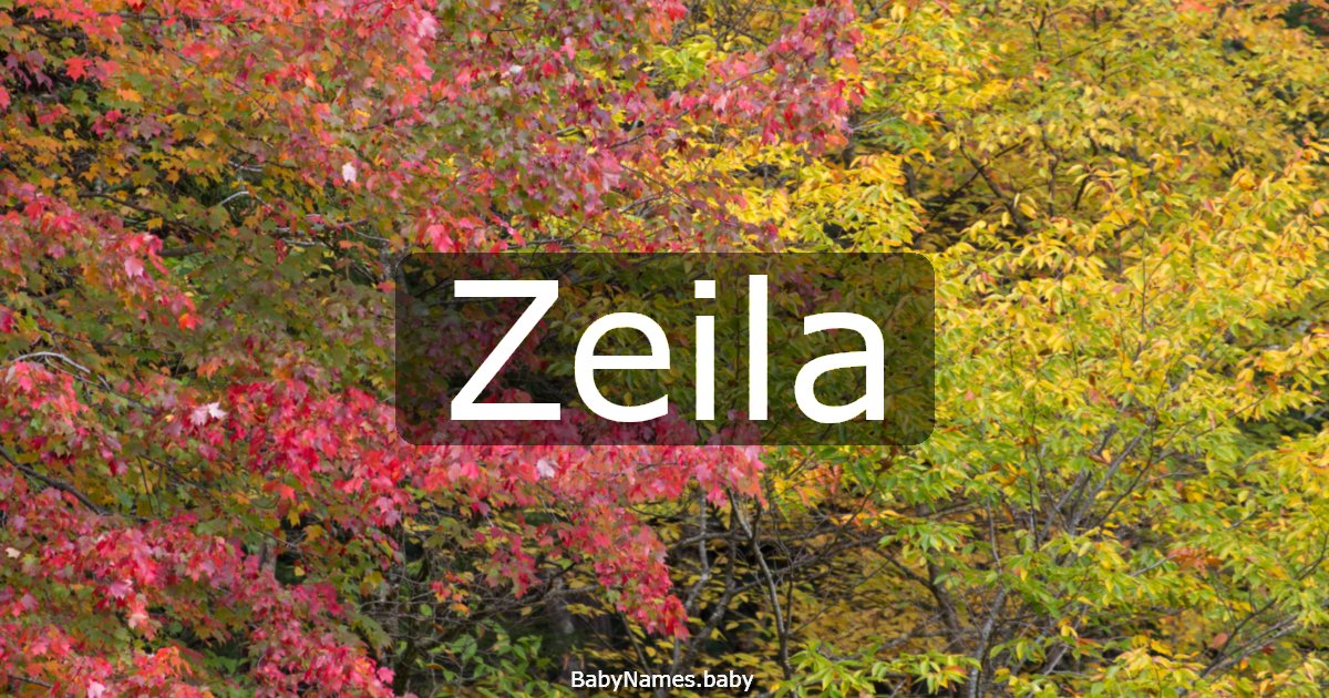 Zeila