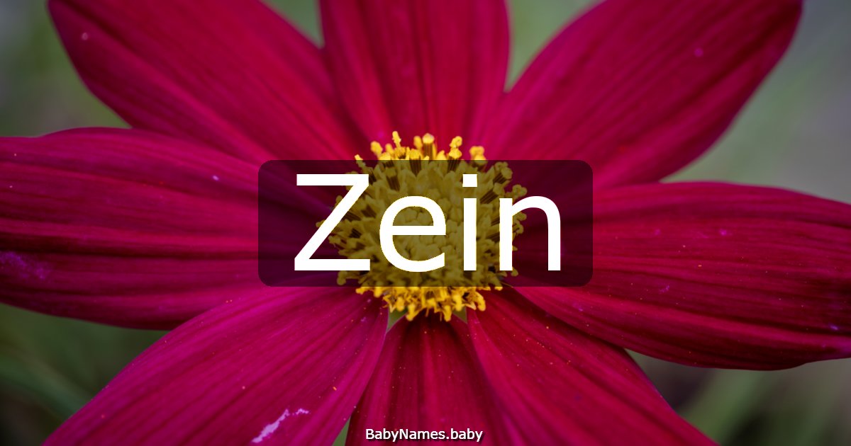 Zein