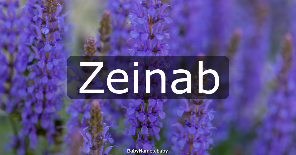 Zeinab