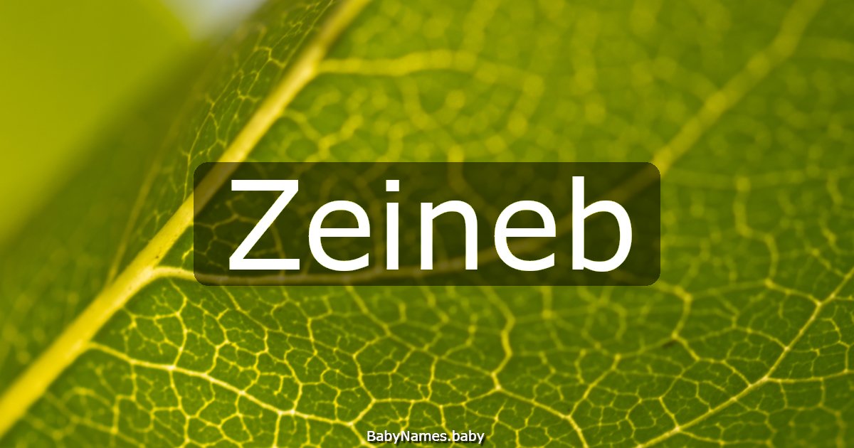 Zeineb