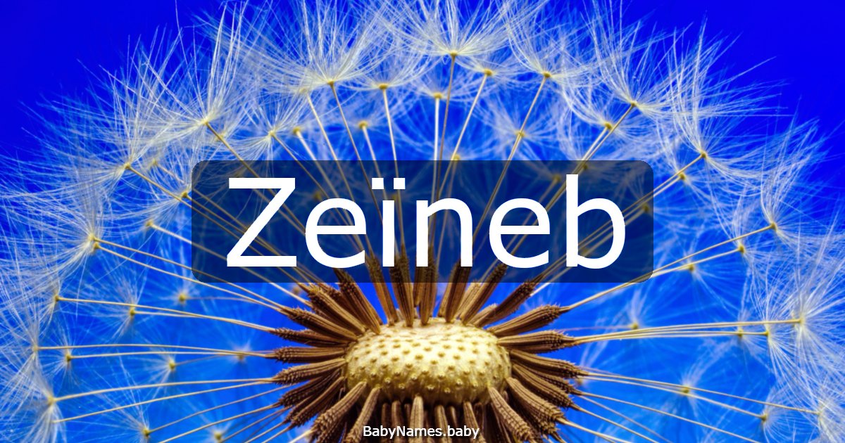 Zeïneb