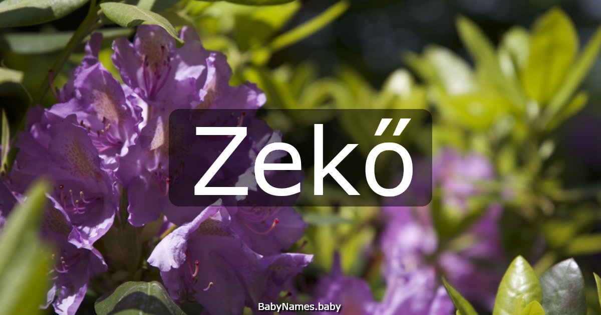 Zekő