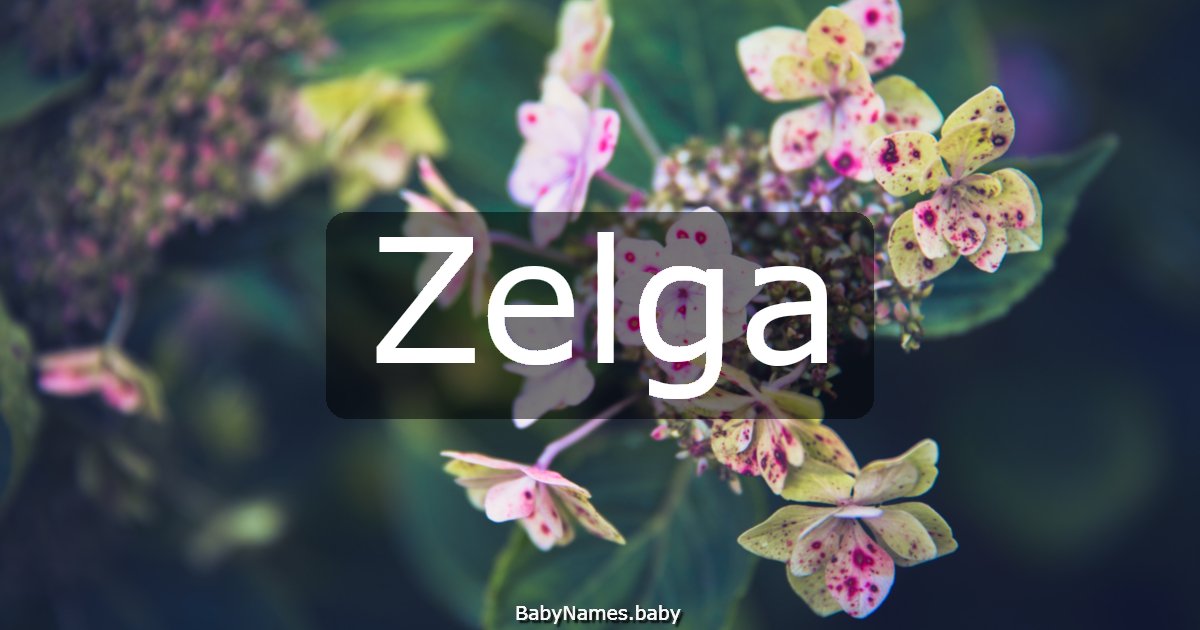 Zelga
