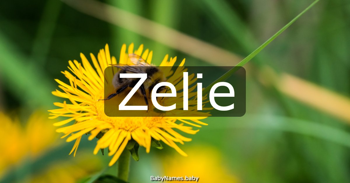 Zelie