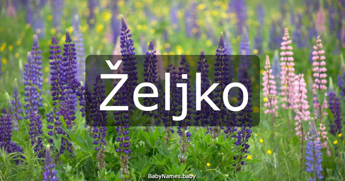 Željko