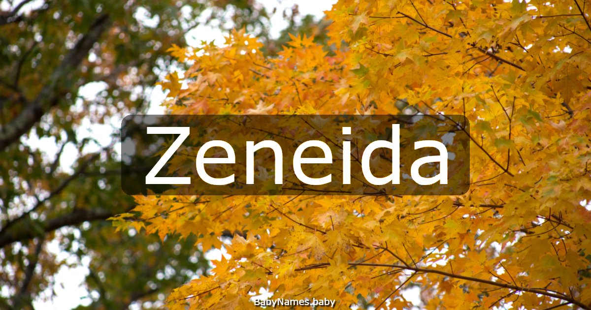 Zeneida