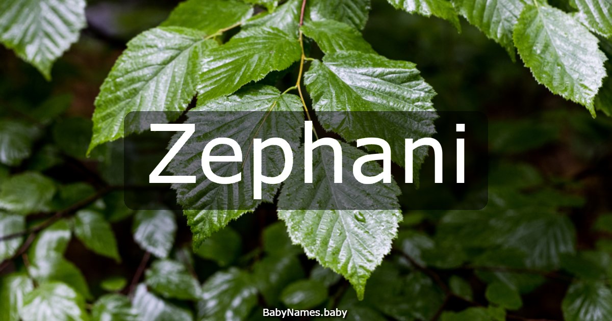 Zephani