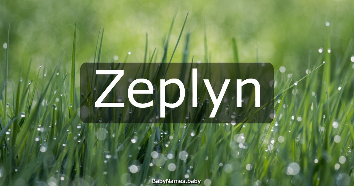 Zeplyn