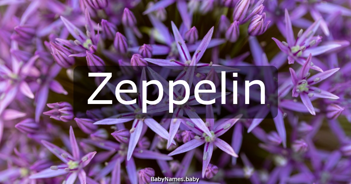 Zeppelin