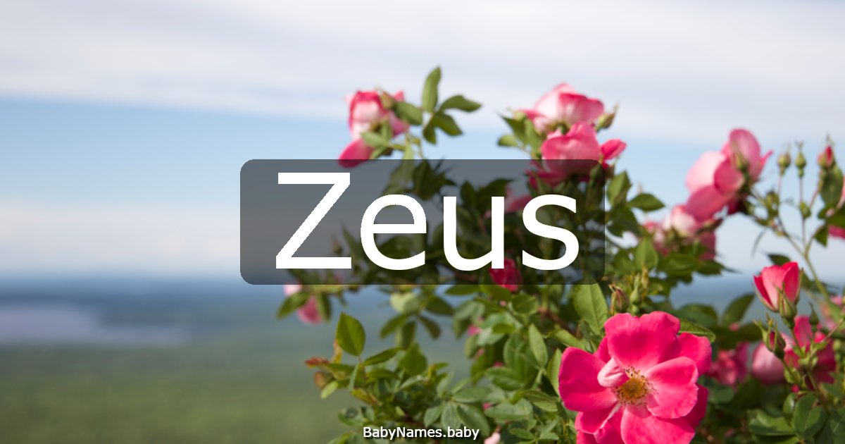 Zeus
