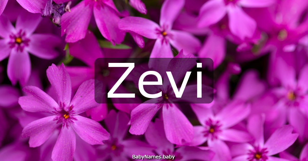 Zevi