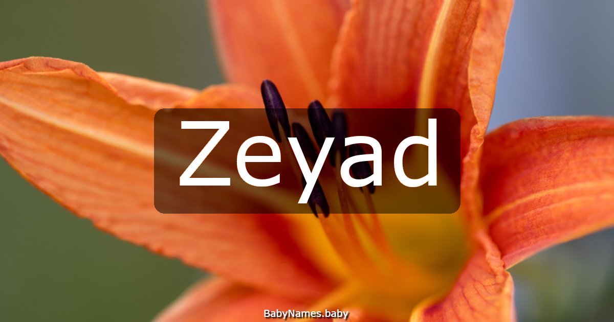 Zeyad