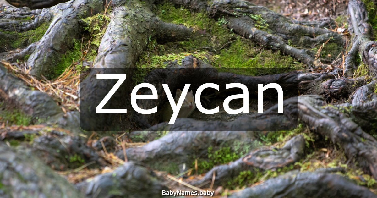Zeycan