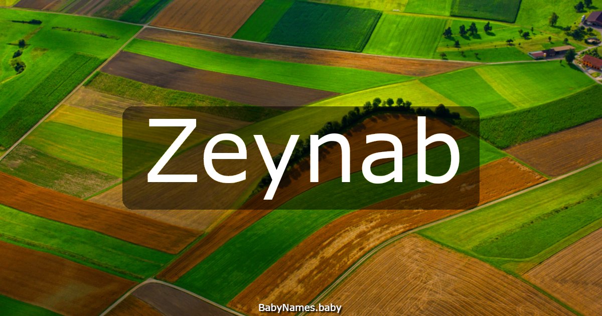 Zeynab
