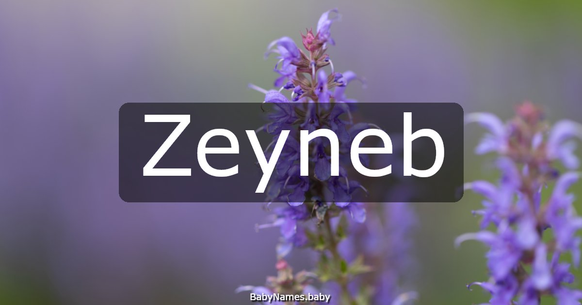 Zeyneb