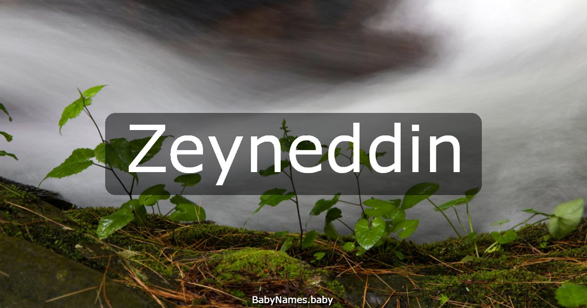 Zeyneddin