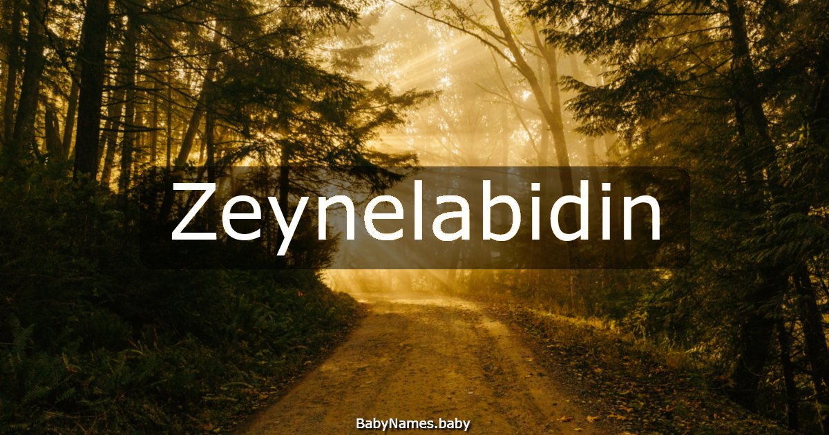 Zeynelabidin