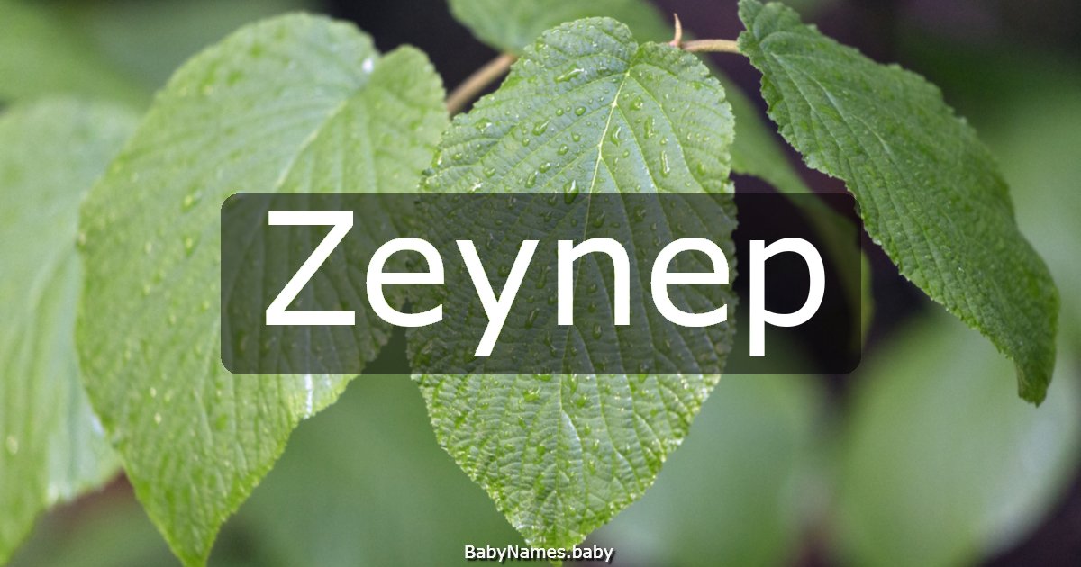 Zeynep