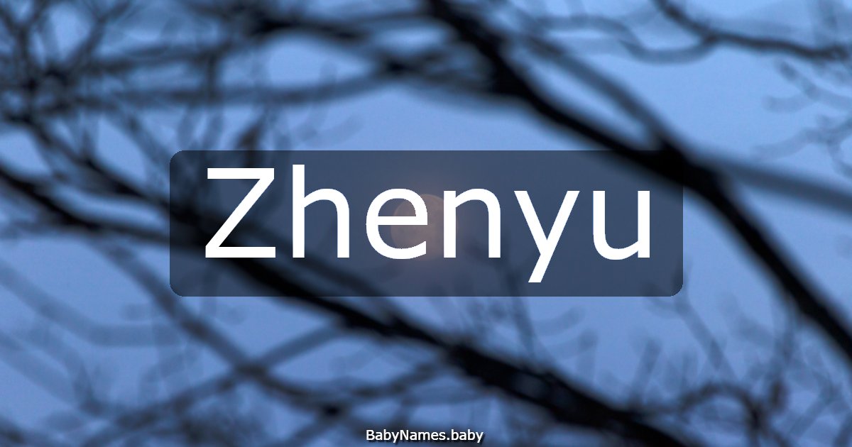 Zhenyu