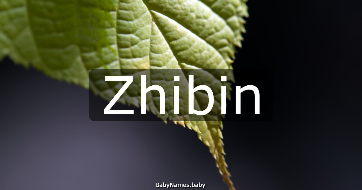 Zhibin