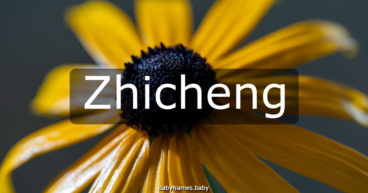 Zhicheng