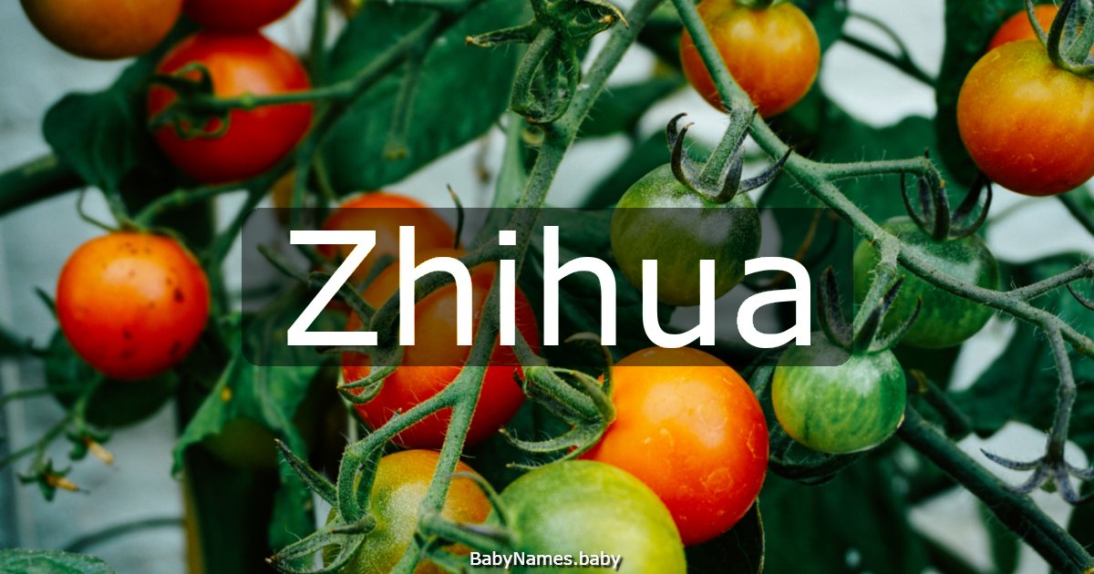 Zhihua