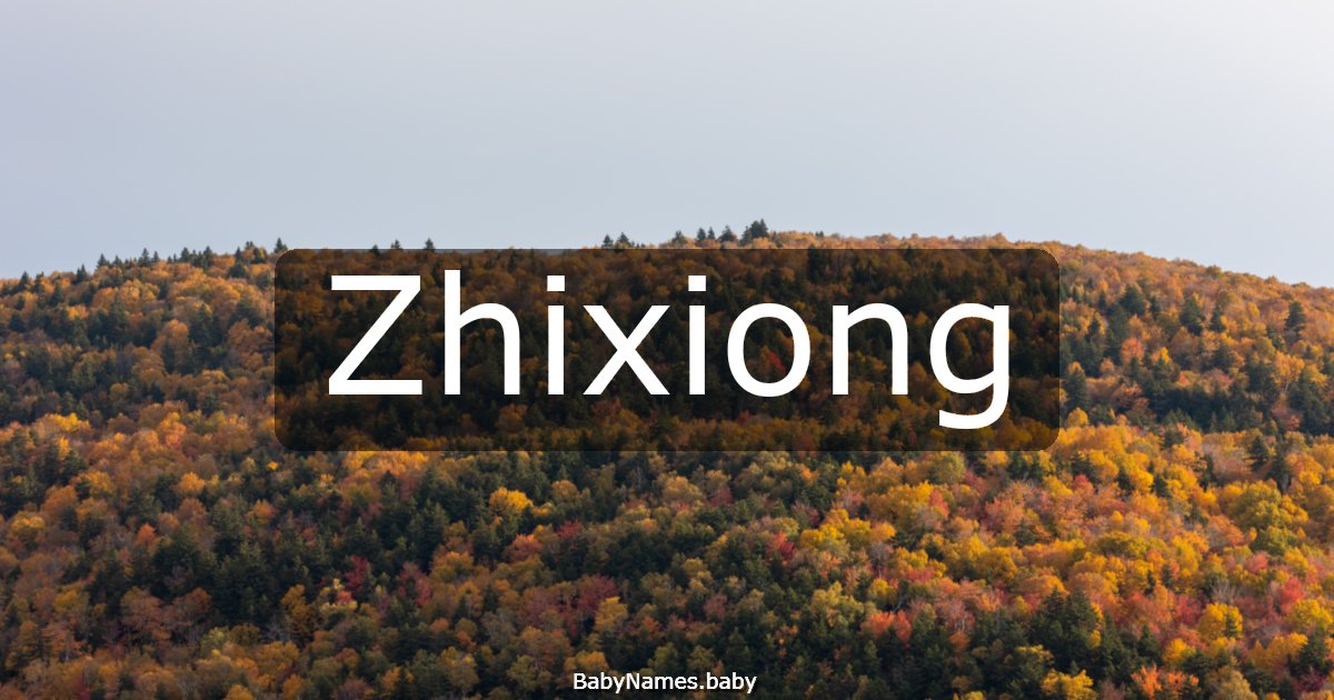 Zhixiong