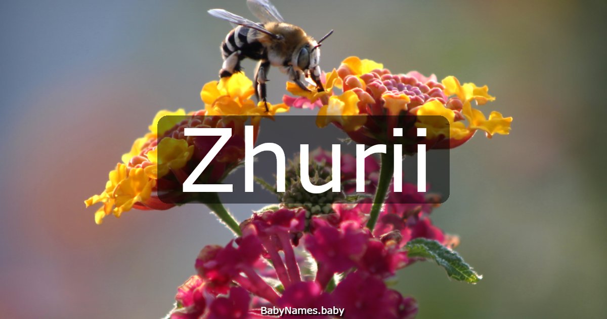 Zhurii